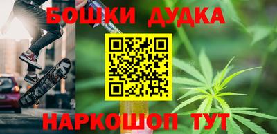 прущие грибы Нальчик