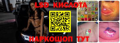 прущие грибы Нальчик