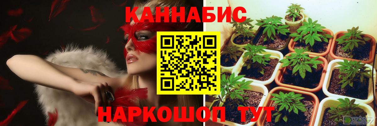 Шишки марихуана SATIVA & INDICA  Канабис MAZAR  Вход с VPN  Печора 